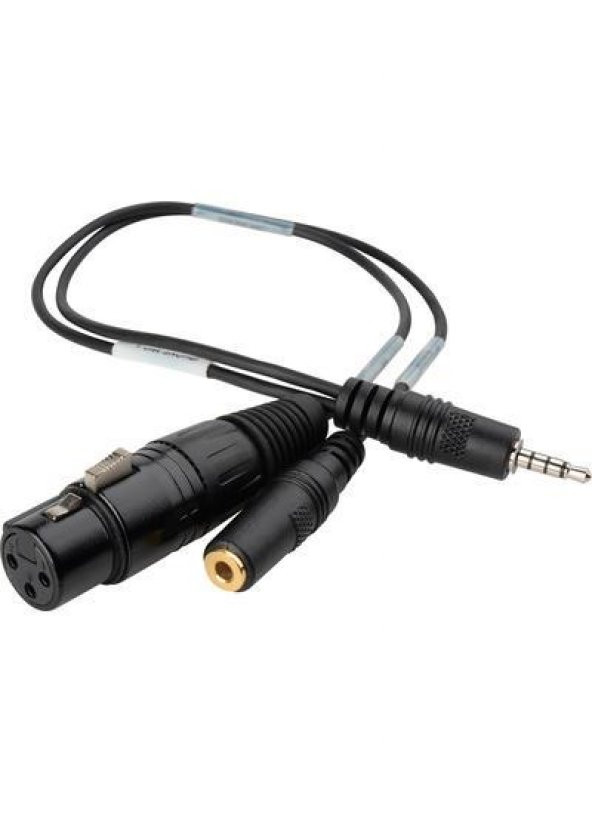 Mikrofon-Kulaklık Ayırıcı Xlr Çıkışlı 20 cm