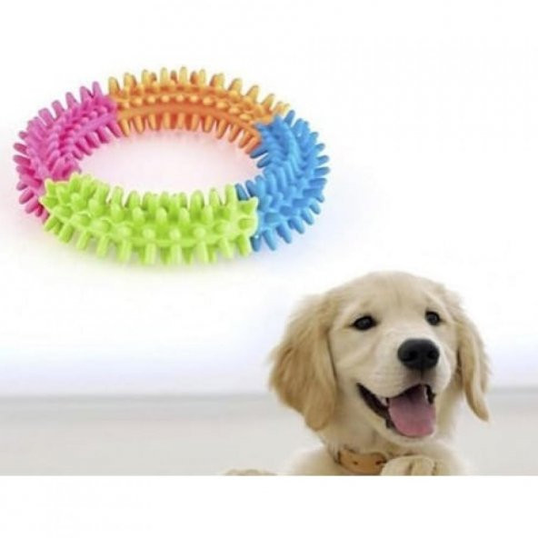 Köpek Isırma Çemberi - 2