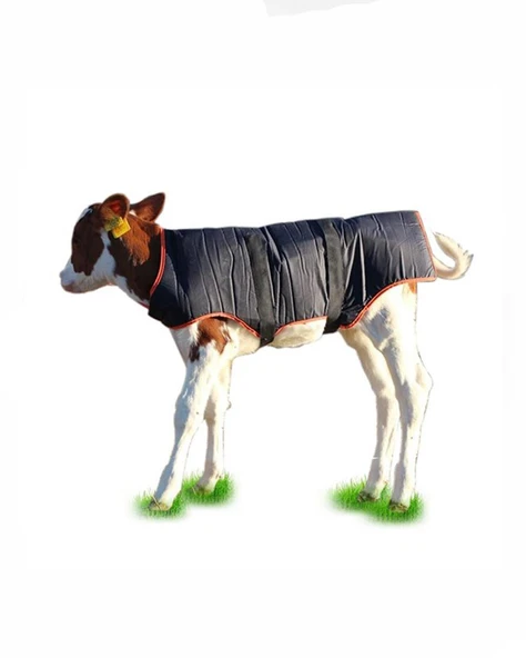 Buzağı Battaniyesi Standart ürün görseli