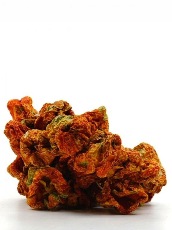 Zeugma Dolmalık Kırmızı Biber Kurutmalığı 1 Dizi ( 45-50 adet) - 2