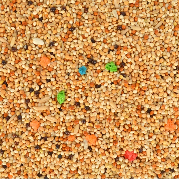 1 kg Karışık Muhabbet Kuşu Yemi Quik ürün görseli
