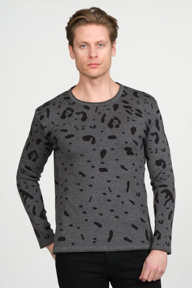 Erkek Regular Fit Bisiklet Yaka Leopar Desenli Pamuklu Triko Kazak - 2