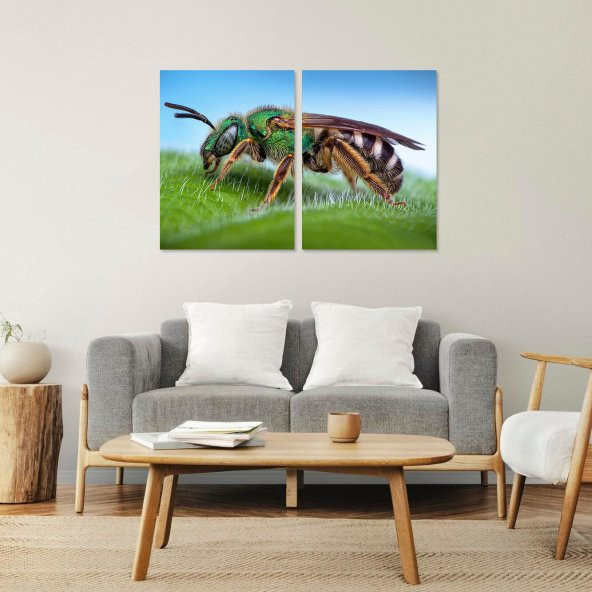 Kitap Şeyleri 2 Parça Makro Çekim Arı Mdf Tablo 30x40 - 1