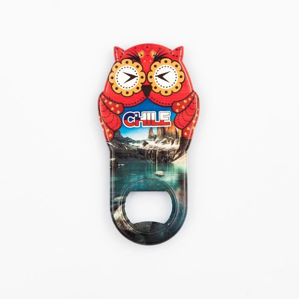 Şili Temalı Baykuş Magnet Kapak Açacak ürün görseli