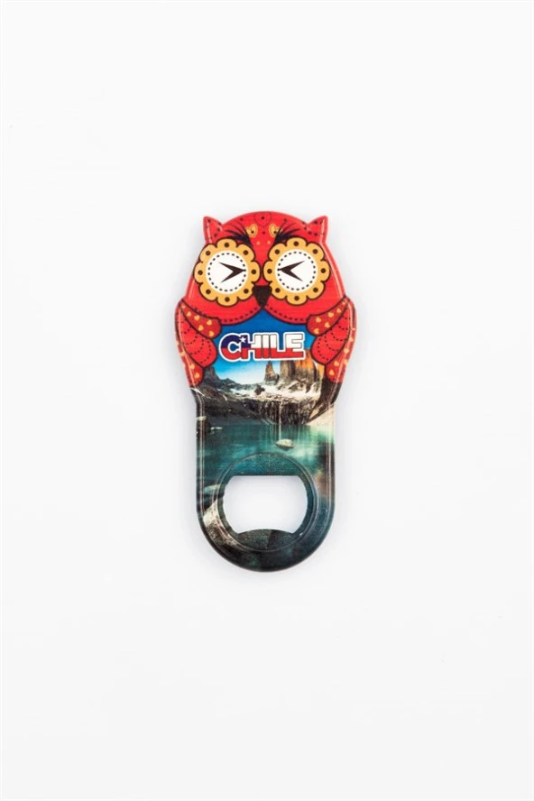 Şili Temalı Baykuş Magnet Kapak Açacak - Resim 3