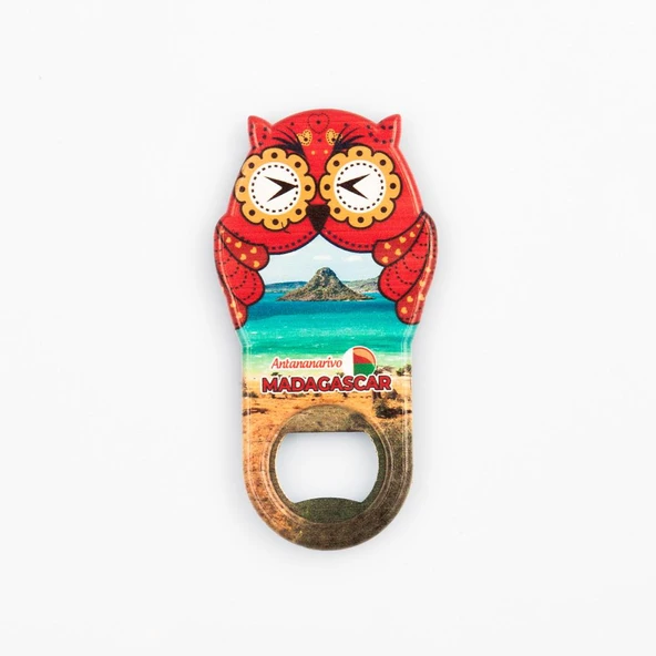 Madagaskar Temalı Baykuş Magnet Kapak Açacak ürün görseli