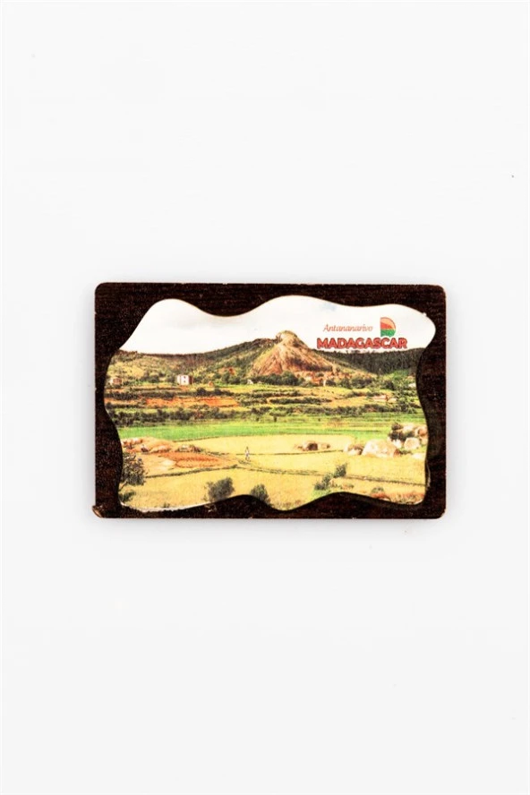 Madagaskar Temalı Deri Magnet Ahşap Tabaka - Resim 2