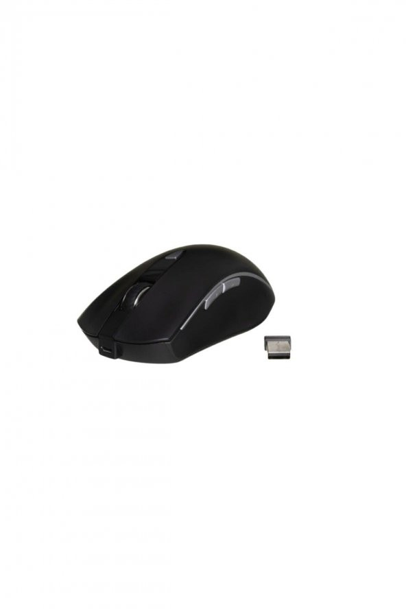 Inca IWM-393RT Sessiz Tip-C-Usb Kablosuz Mouse - 6