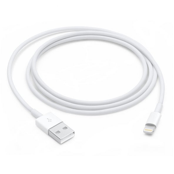 Apple iPhone Destekleyen Ev Şarj Aleti 1.1 A - 2