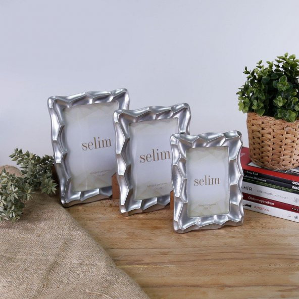 Crearthome Telles 15x20 cm Çerçeve Gümüş SCRV116GMS86RS - 3