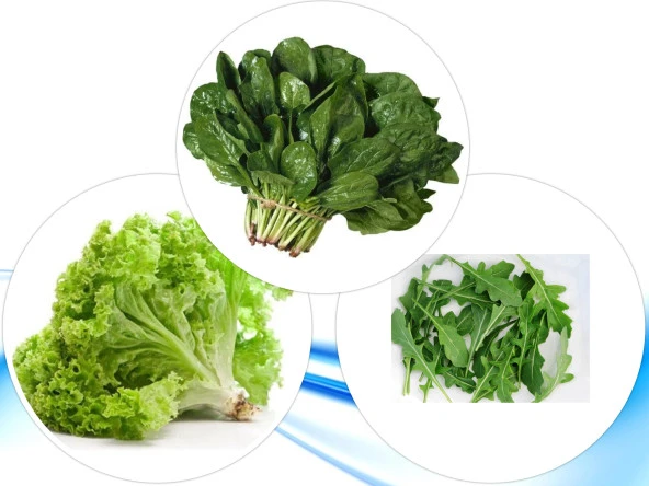 3'LÜ YERLİ HOBİ TOHUM SETİ-5 (HEDİYE SOLUCAN GÜBRESİ) ürün görseli 1