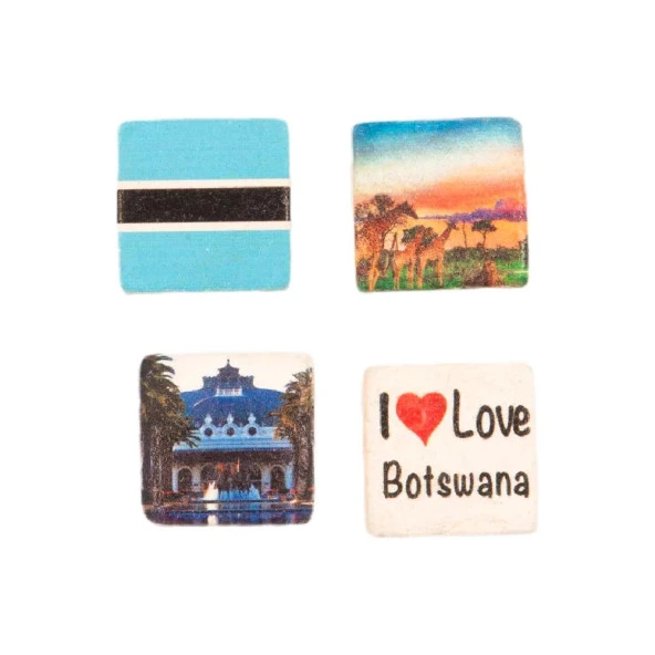 Botsvana Temalı Dörtlü Taş Magnet - Resim 2