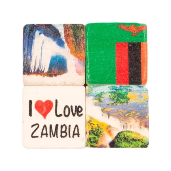 Zambiya Temalı Dörtlü Taş Magnet ürün görseli