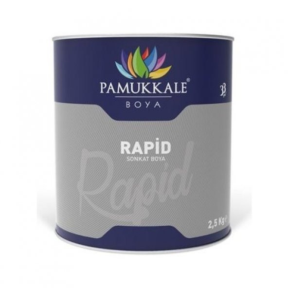 Pamukkale Rapid Boya Krom Sarı 2,5 Kg