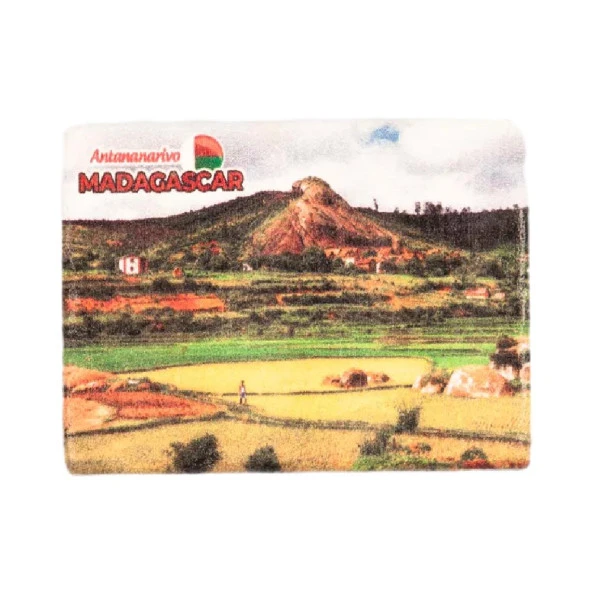 Madagaskar Temalı Taş Magnet ürün görseli