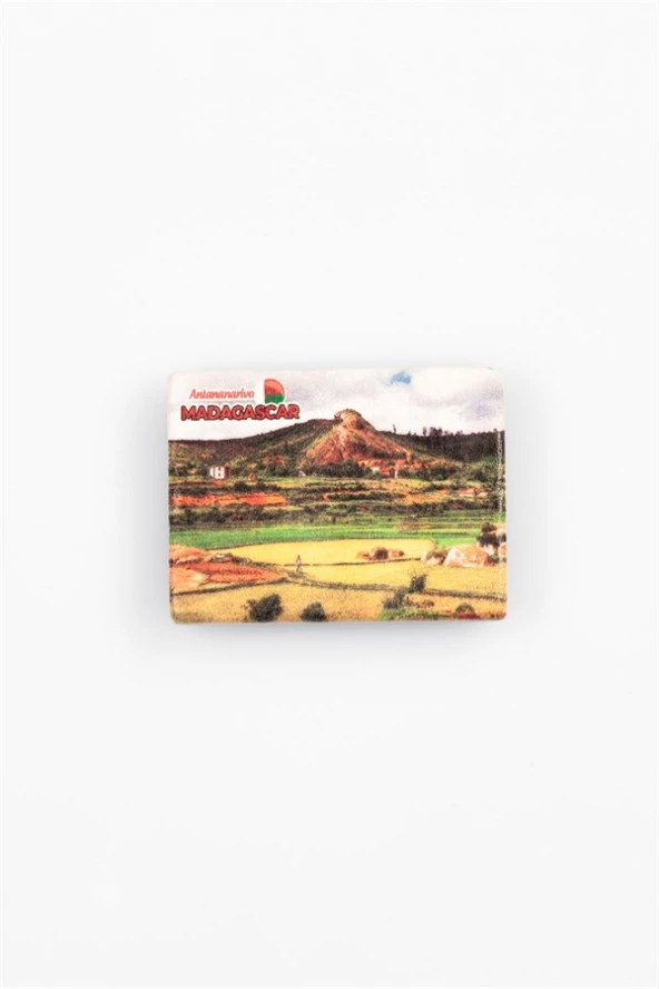 Madagaskar Temalı Taş Magnet - Resim 3