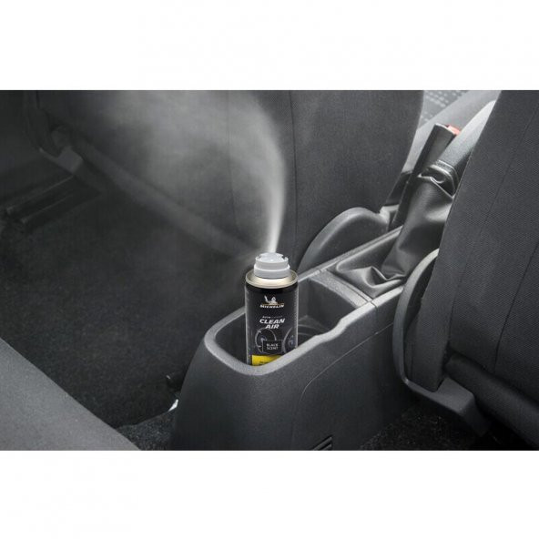 Michelin MC32705 150ml Klima Temizleyici Sprey - 10