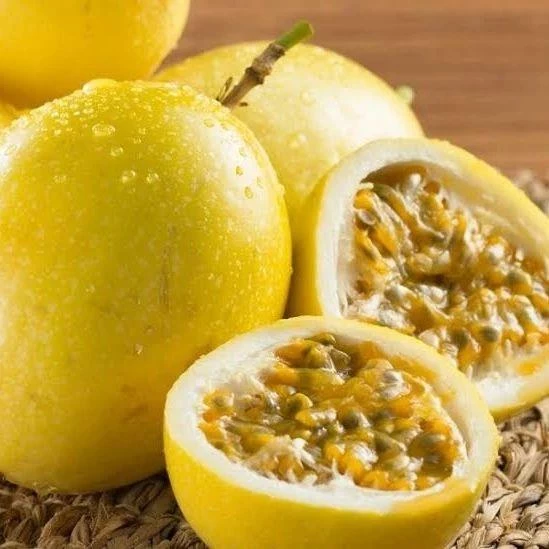 Sarı Meyveli Çarkıfelek Pasiflora Edulis PANAMA GOLD - 2
