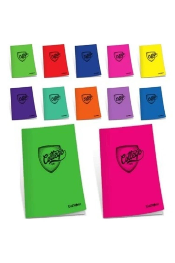 Çınar College Dikişli Plastik Kapak A4 80 Yaprak Kareli 80/4 (12 Li Paket)
