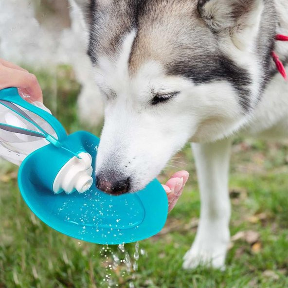Taşınabilir Kedi Köpek Su Şişesi Yumuşak Silikon Açık Pet Su Sebili 580ml Mavi Renklı - 6