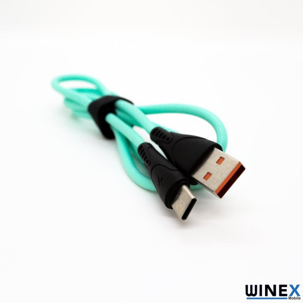 Winex CA30 USBA to Type-C Hızlı Data ve Şarj Kablosu 2.4A Mavi