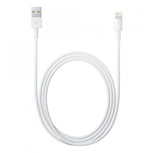 Apple USBA to Lightning Kablo 2m MD819ZM/A Apple Türkiye Garantili
