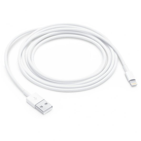 Apple USBA to Lightning Kablo 2m MD819ZM/A Apple Türkiye Garantili - 2