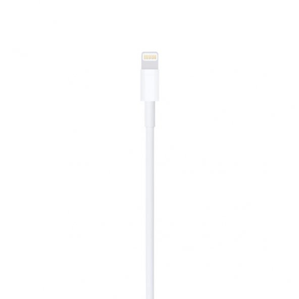 Apple USBA to Lightning Kablo 2m MD819ZM/A Apple Türkiye Garantili - 4