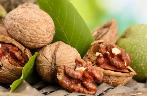 Diyarından Kabuklu Ceviz 1 kg