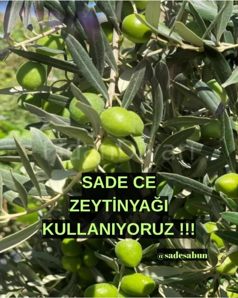 Saç  Dökülmesi - 2