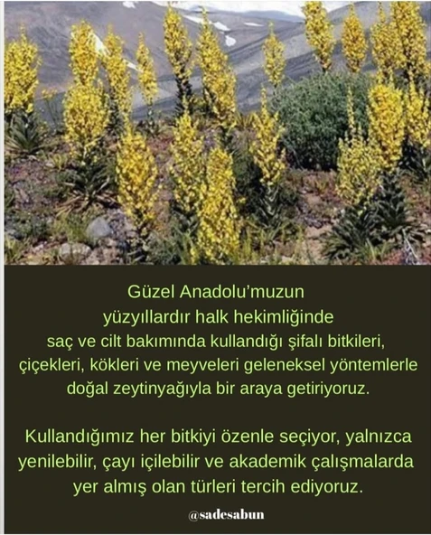 Saç  Dökülmesi - 4