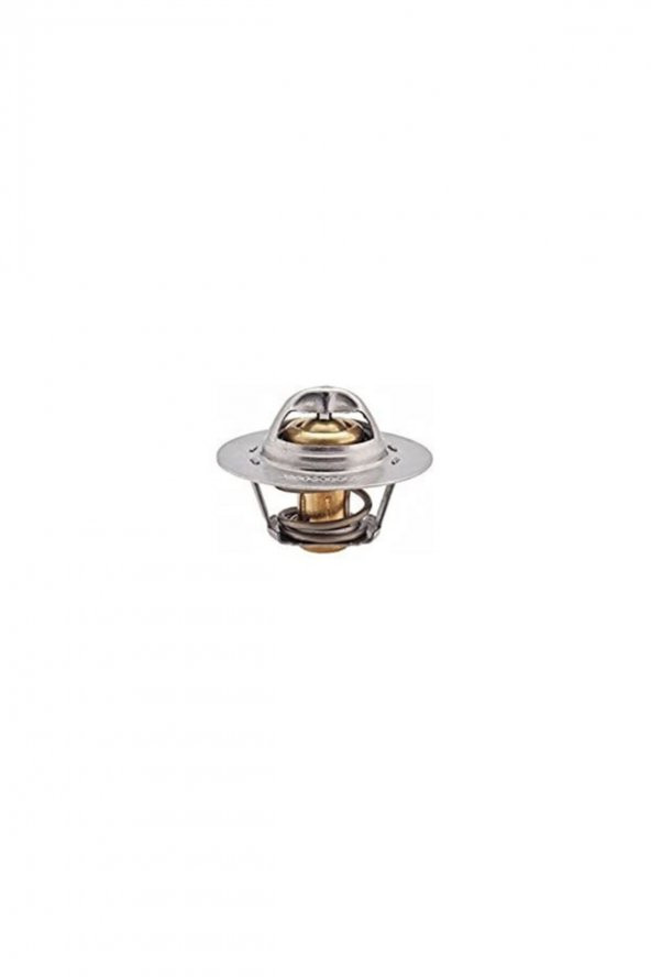R21 Tse Manager 89 Dereceli Termostat 7700872314 - 1