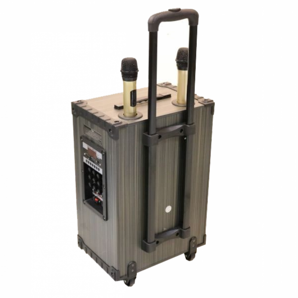 HT-91200 30 Cm Bass Şarjlı Çift Mikrofonlu Anfi Hoparlör Sistemi - Resim 2