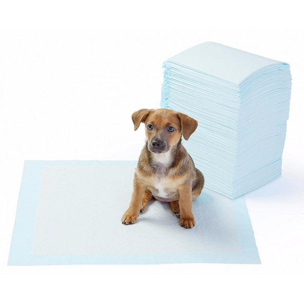 Yıkanabilir Köpek Çiş Pedi - 100 X 100 Cm 5li Paket - 2