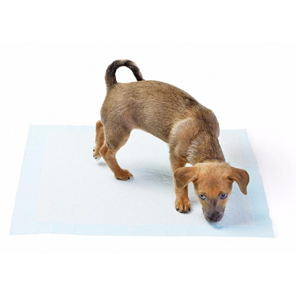 Yıkanabilir Köpek Çiş Pedi - 100 X 100 Cm 5li Paket - 3