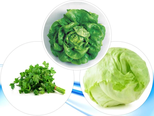 3'LÜ YERLİ HOBİ TOHUM SETİ-6 (HEDİYE SOLUCAN GÜBRESİ) ürün görseli 1