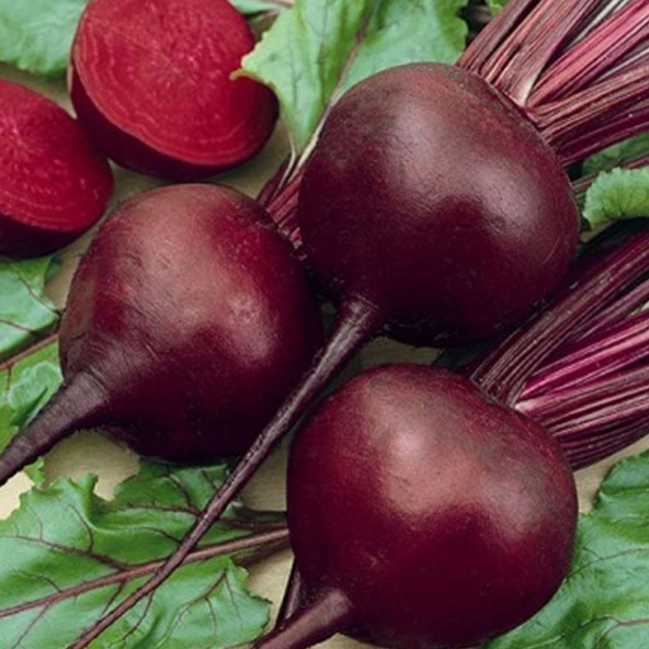 Kırmızı Pancar Tohumu 10 gr Paket ürün görseli