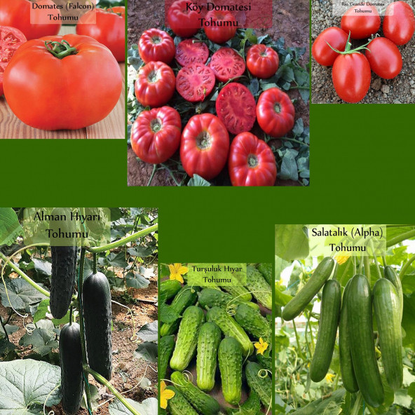 6'lı Tohum No12 Köy Domatesi Tohumu Salatalık Alman Hıyarı Turşuluk Kornişon Salatalık Tohumu
