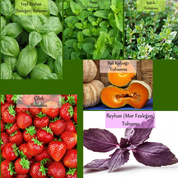 6 Paket Tohum No14 Yeşil Fesleğen Reyhan Tohumu Mor Fesleğen Nane Kekik Bal Kabağı Çilek Tohumu