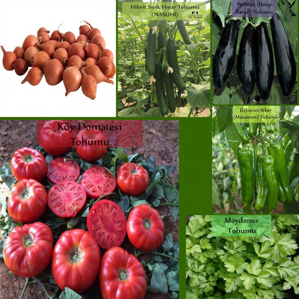 6 Paket Tohum No18 Arpacık Soğan 1 Kg. Iska Hibrit Salatalık Patlıcan Köy Domatesi Biberi Tohumu