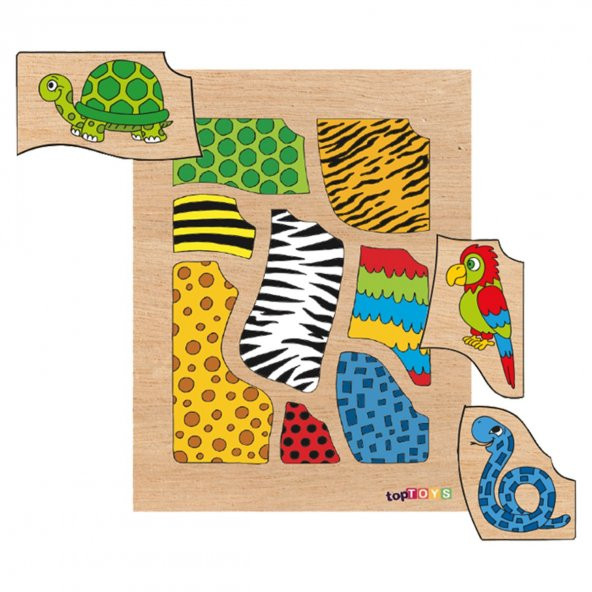 CS-7039/41 Chiva, Bil Bakalım Kim Kime Ait Nerede 7039-7040-7041- - 3