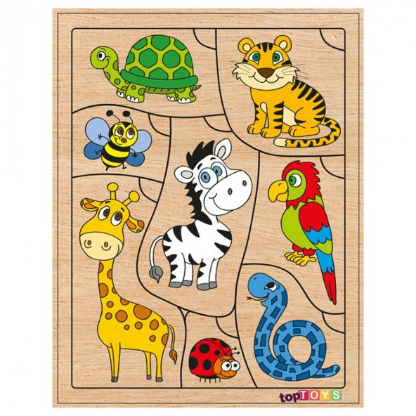 CS-7039/41 Chiva, Bil Bakalım Kim Kime Ait Nerede 7039-7040-7041- - 5