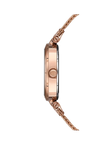 NACAR NC36-392025-RSM KADIN KOL Saati - Resim 3