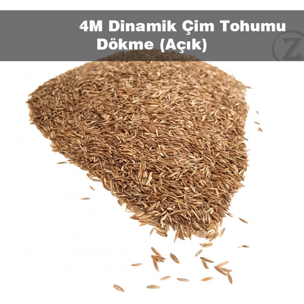 Çim Tohumu 500 gr. Dinamik 6M Dayanıklı Yoğun Basılan Alanlar İçin İdeal Çim Tohumu