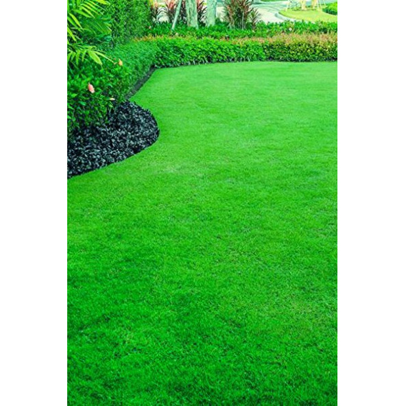 Çim Tohumu 5 Kg. Dinamik 6M Dayanıklı Yoğun Basılan Alanlar İçin İdeal Çim Tohumu - 3