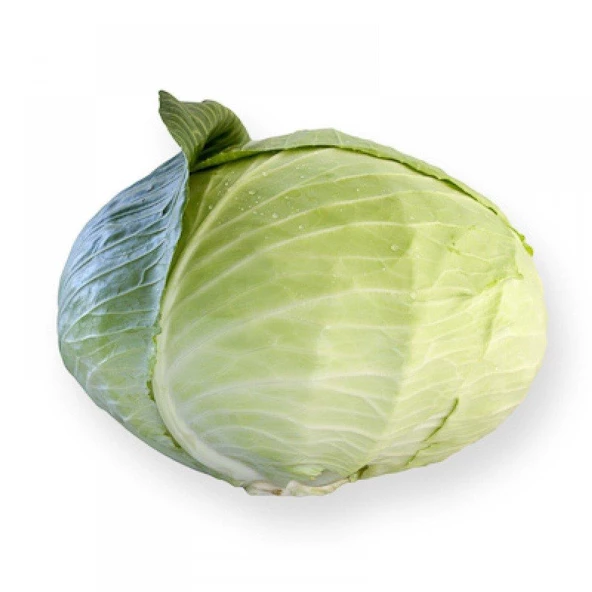 Beyaz (Yalova) Lahana Tohumu 10 gr Paket ürün görseli 1