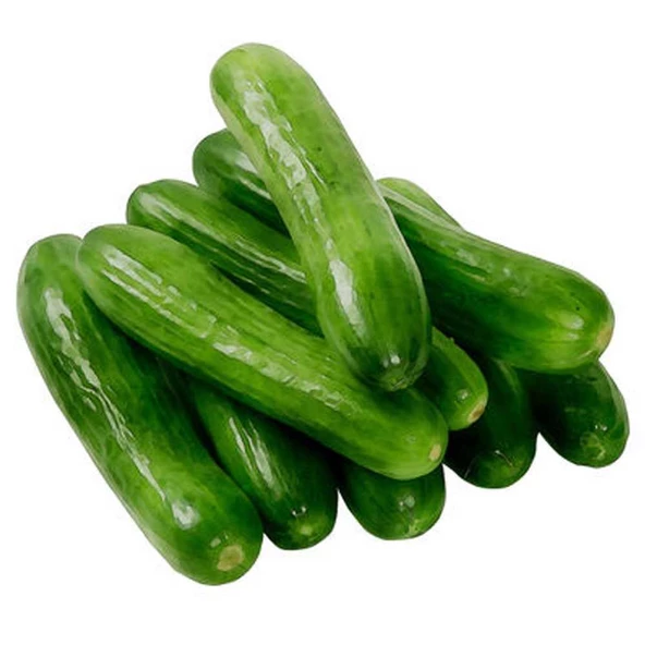 Yerli Salatalık (Hıyar) Tohumu  5 gr Paket ürün görseli