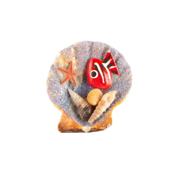 Doğal Vixilium Akvaryum Temalı Magnet ürün görseli 1