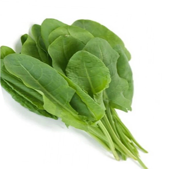 Kuzukulağı Ekşi Otu Tohumu 2 gr Paket ürün görseli