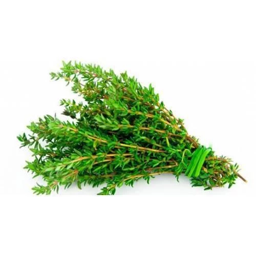 Dağ Kekiği Tohumu 2 gr Paket ürün görseli